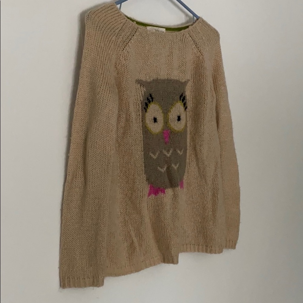 Owl sweater